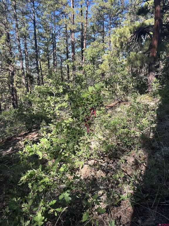 636 E Valley View Drive Bayfield CO 81122