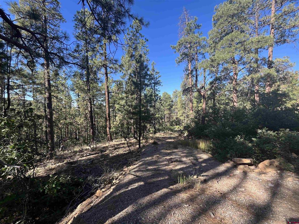 636 E Valley View Drive Bayfield CO 81122