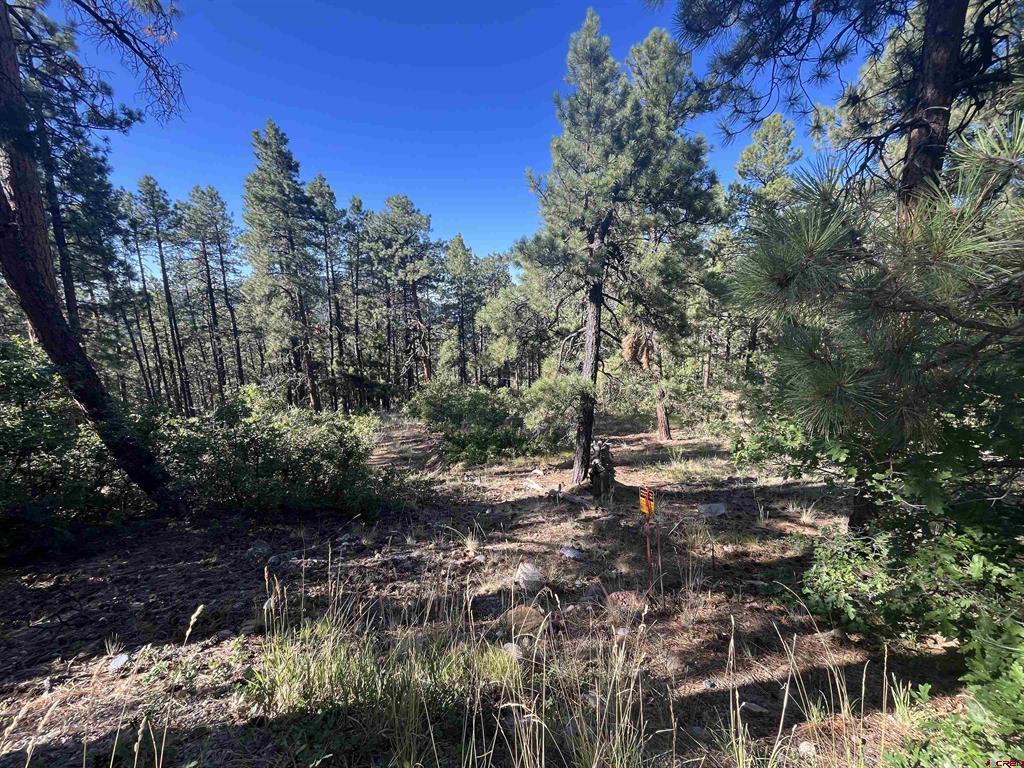 636 E Valley View Drive Bayfield CO 81122