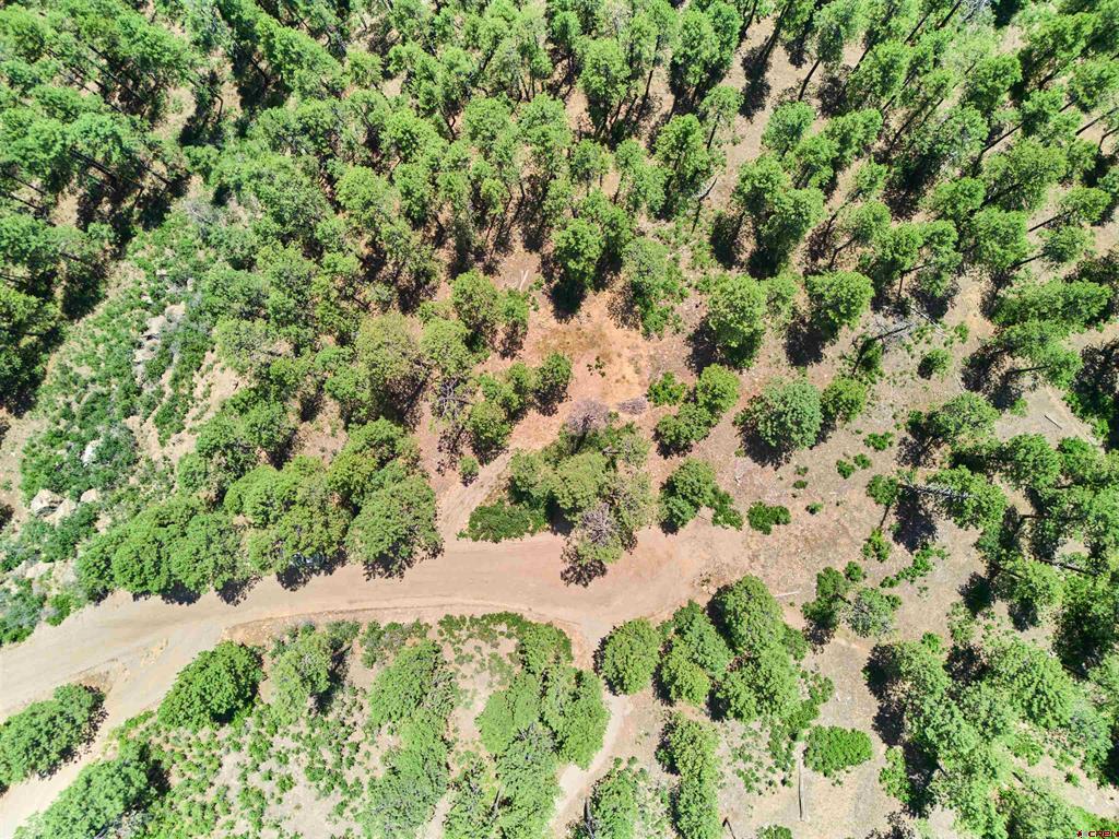 636 E Valley View Drive Bayfield CO 81122