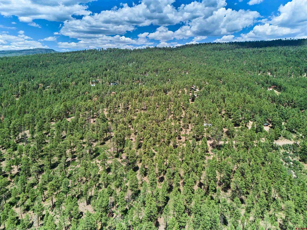 636 E Valley View Drive Bayfield CO 81122