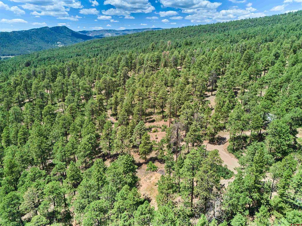 636 E Valley View Drive Bayfield CO 81122