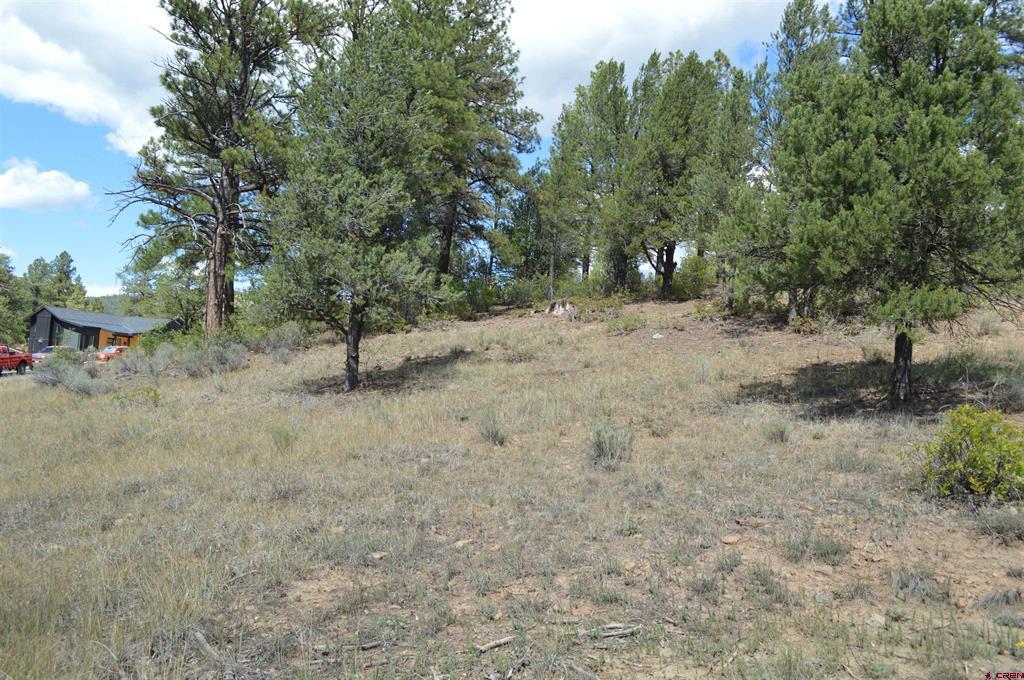 89 Wild Chives Court Durango CO 81301
