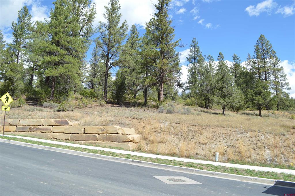 89 Wild Chives Court Durango CO 81301