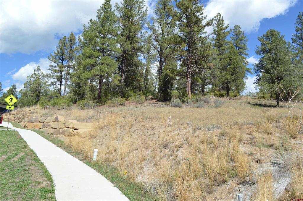 89 Wild Chives Court Durango CO 81301
