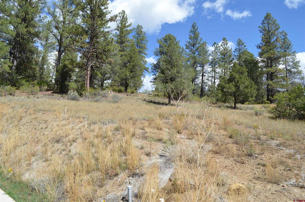 89 Wild Chives Court Durango CO 81301