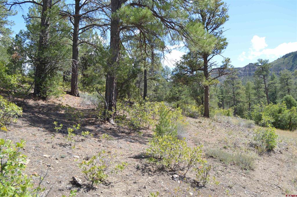89 Wild Chives Court Durango CO 81301