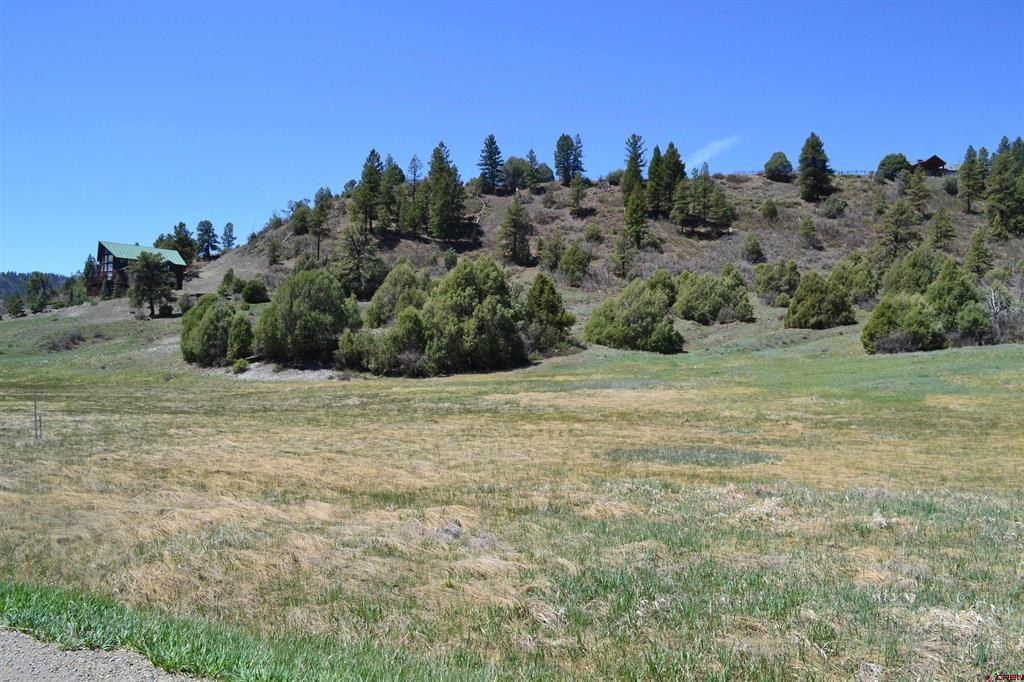 1733 Harvard Avenue Pagosa Springs CO 81147