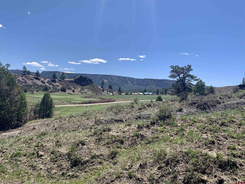 1733 Harvard Avenue Pagosa Springs CO 81147