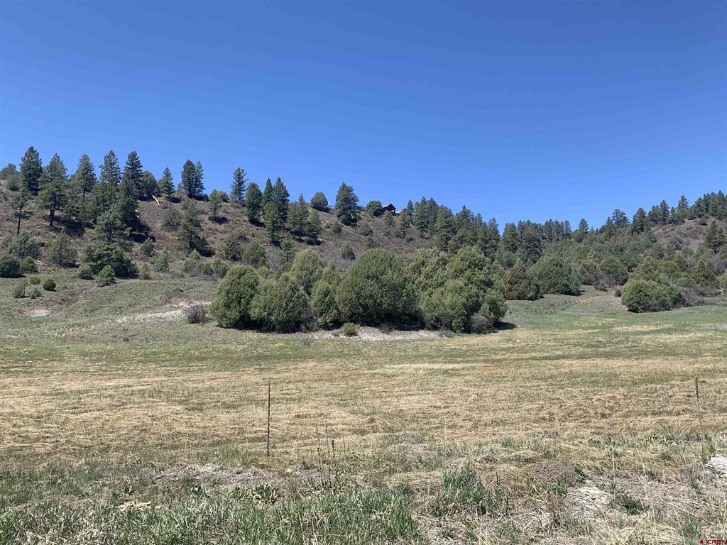 1733 Harvard Avenue Pagosa Springs CO 81147