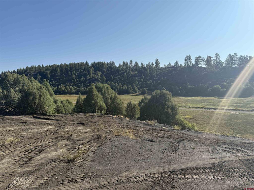 1733 Harvard Avenue Pagosa Springs CO 81147