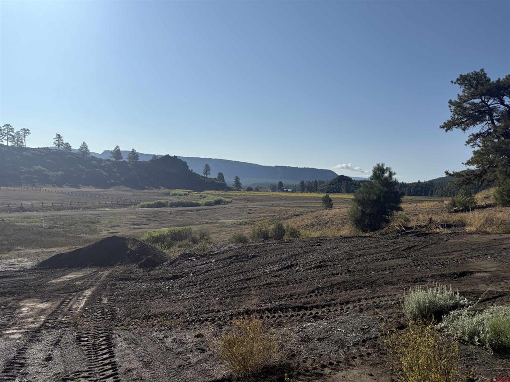 1733 Harvard Avenue Pagosa Springs CO 81147