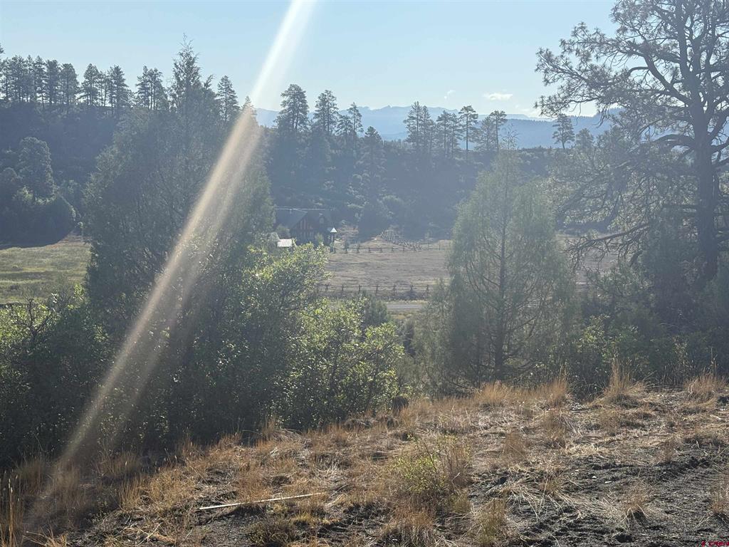 1733 Harvard Avenue Pagosa Springs CO 81147