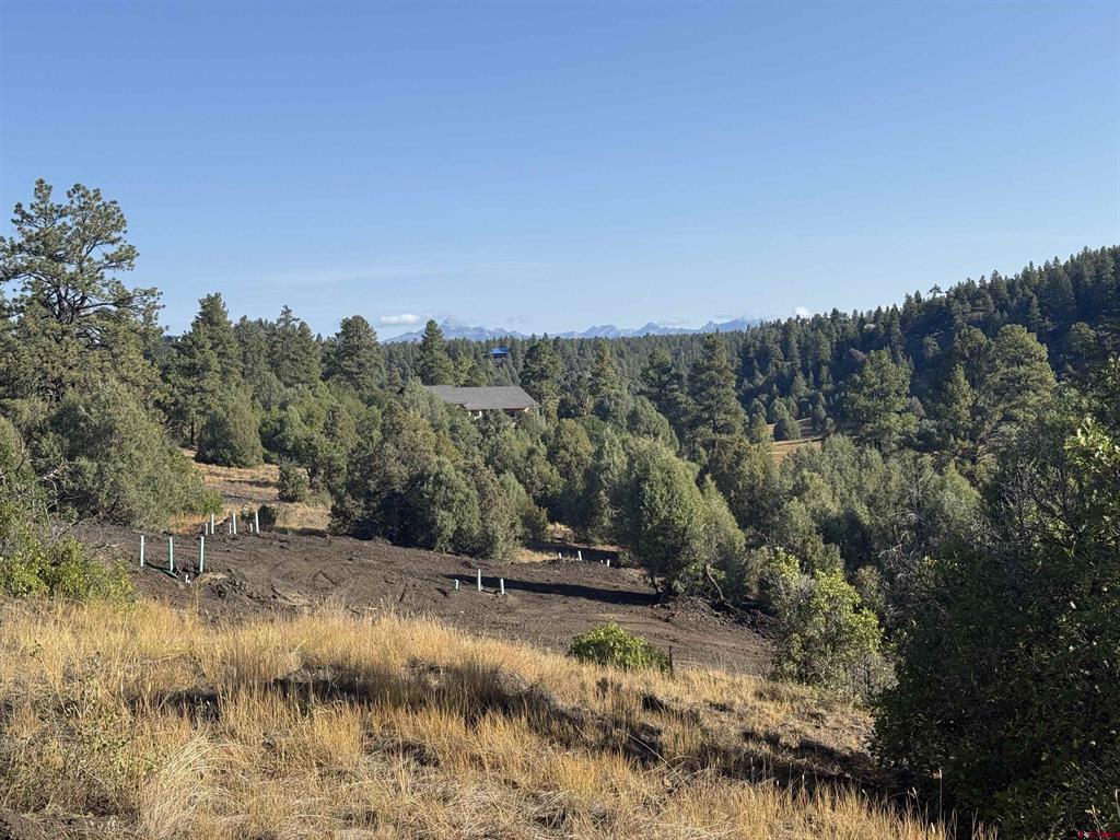 1733 Harvard Avenue Pagosa Springs CO 81147