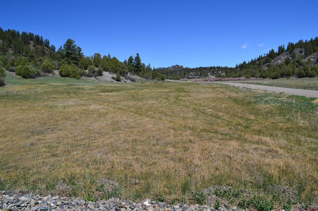 1733 Harvard Avenue Pagosa Springs CO 81147
