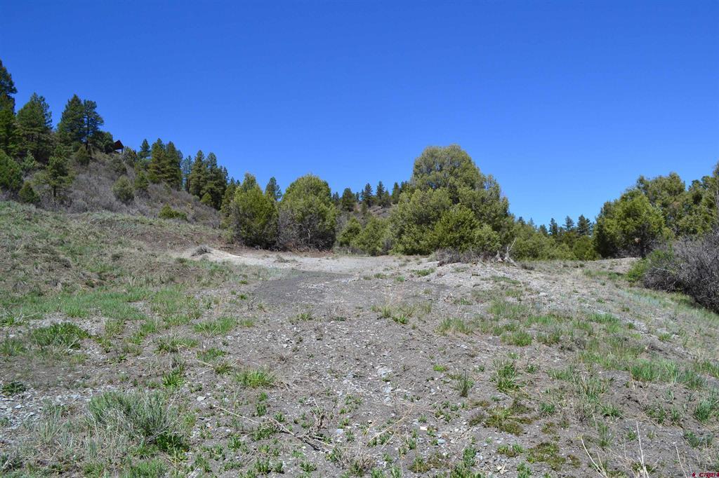 1733 Harvard Avenue Pagosa Springs CO 81147