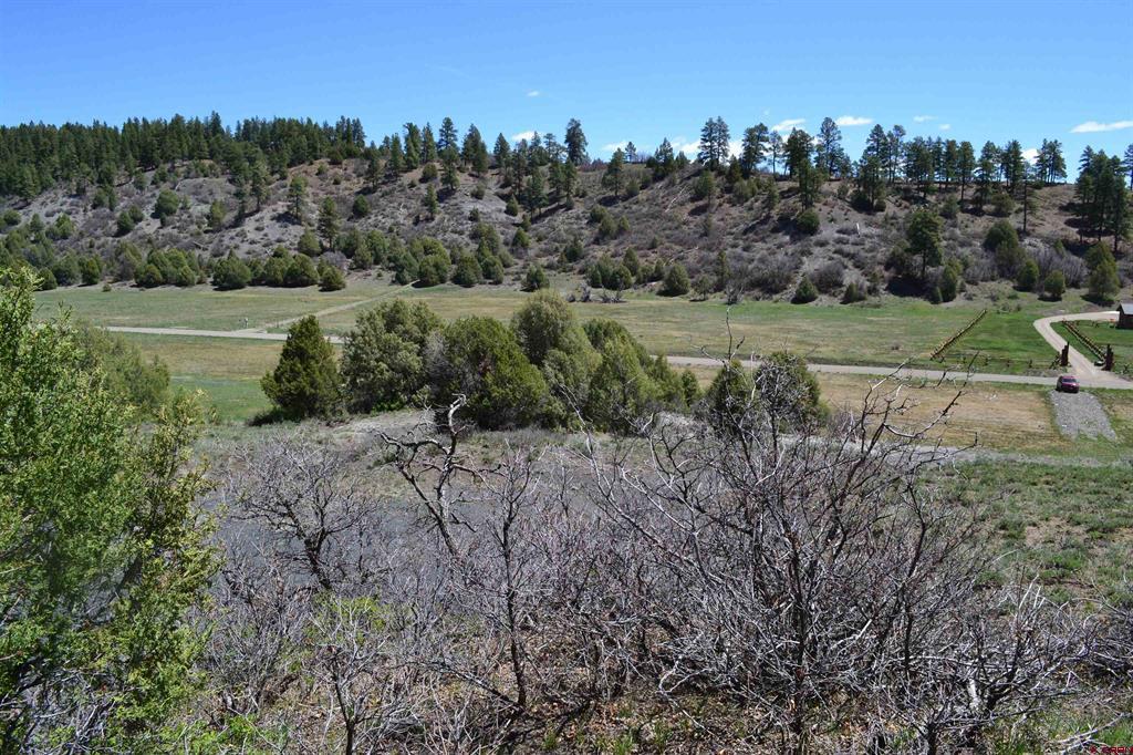 1733 Harvard Avenue Pagosa Springs CO 81147