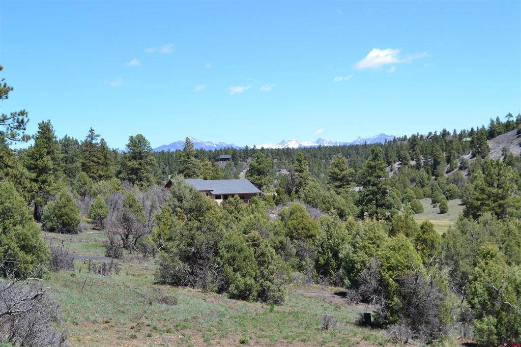 1733 Harvard Avenue Pagosa Springs CO 81147