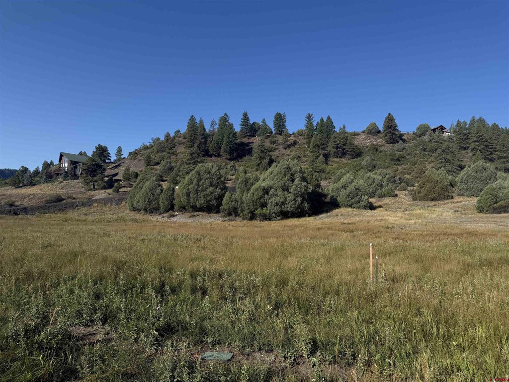 1733 Harvard Avenue Pagosa Springs CO 81147