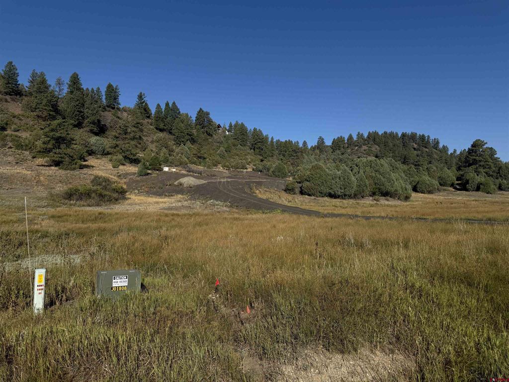 1733 Harvard Avenue Pagosa Springs CO 81147