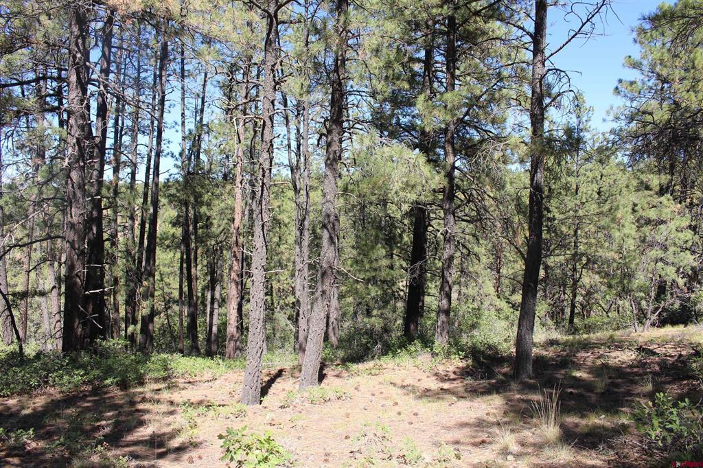 1286 Crooked Road Pagosa Springs CO 81147
