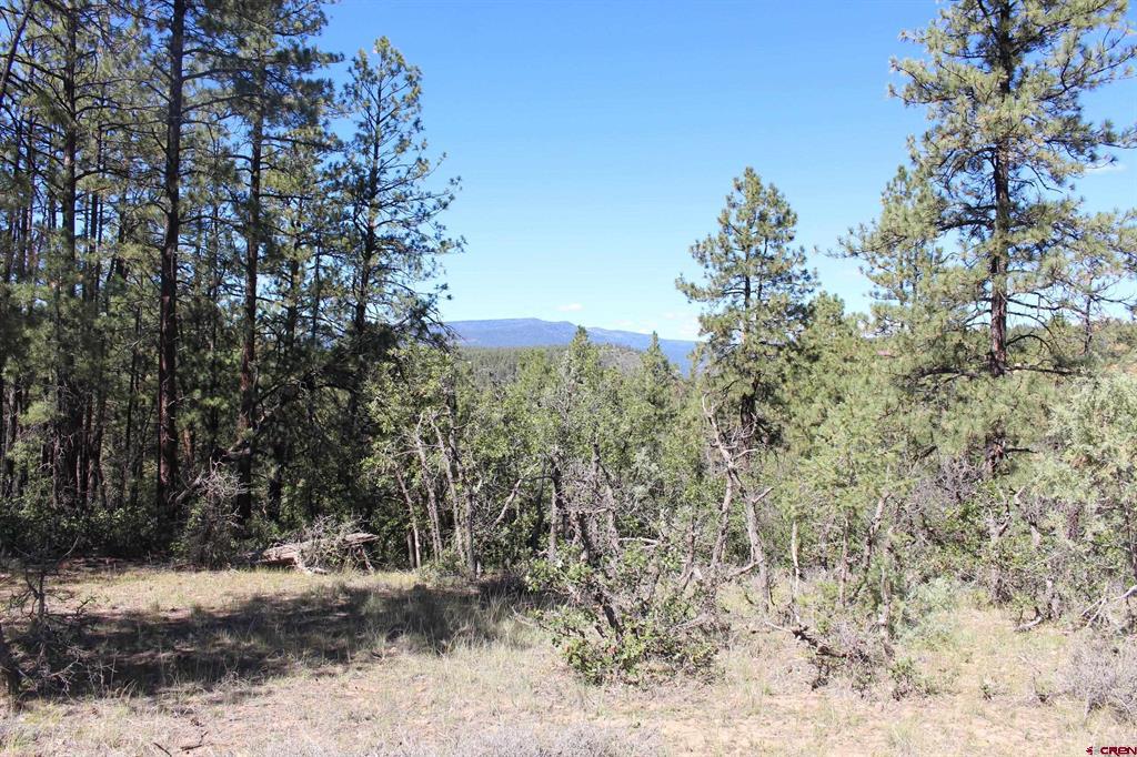 1286 Crooked Road Pagosa Springs CO 81147