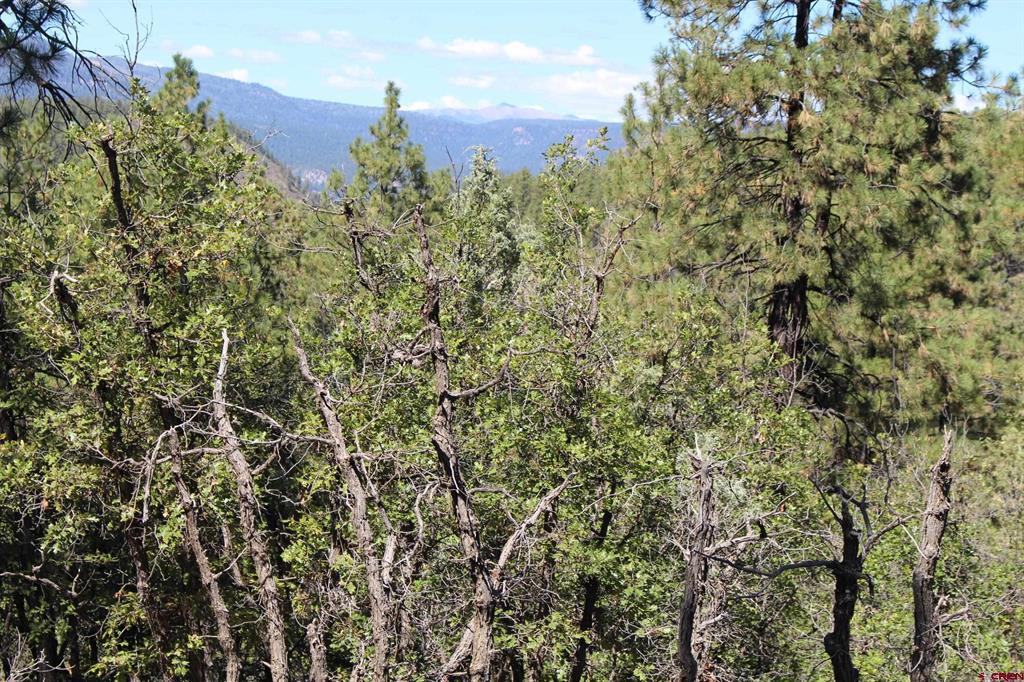 1286 Crooked Road Pagosa Springs CO 81147