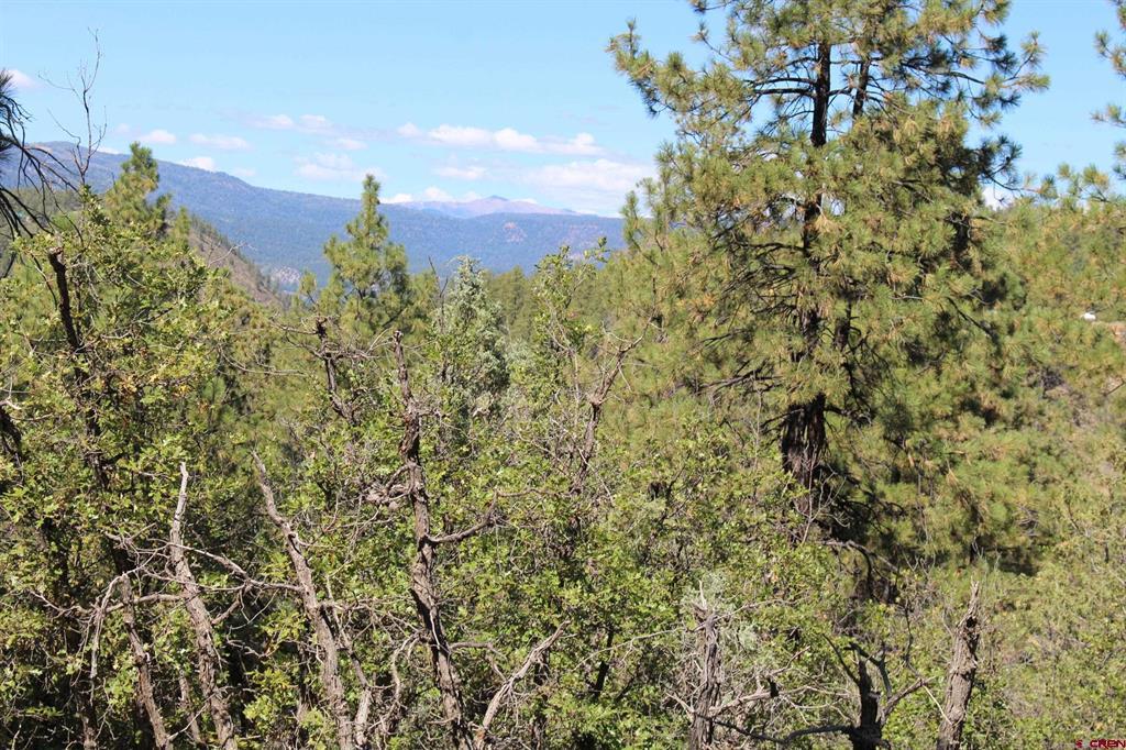 1286 Crooked Road Pagosa Springs CO 81147