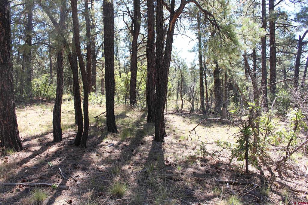 1286 Crooked Road Pagosa Springs CO 81147