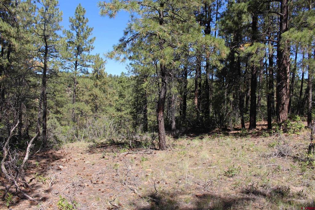 1286 Crooked Road Pagosa Springs CO 81147