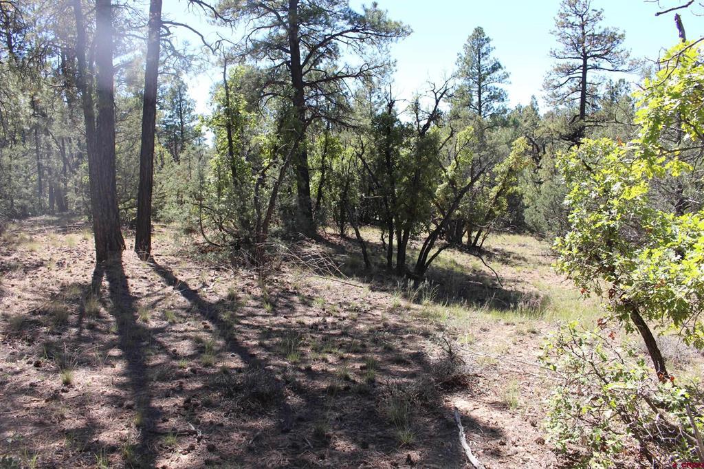 1286 Crooked Road Pagosa Springs CO 81147