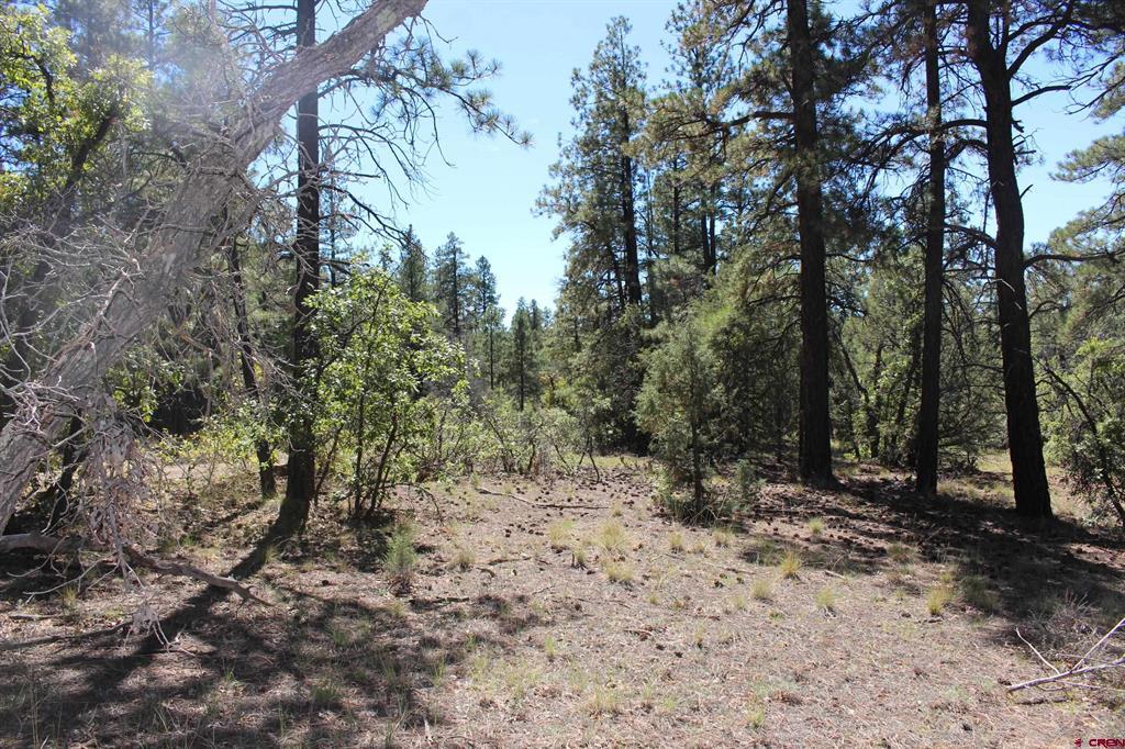 1286 Crooked Road Pagosa Springs CO 81147