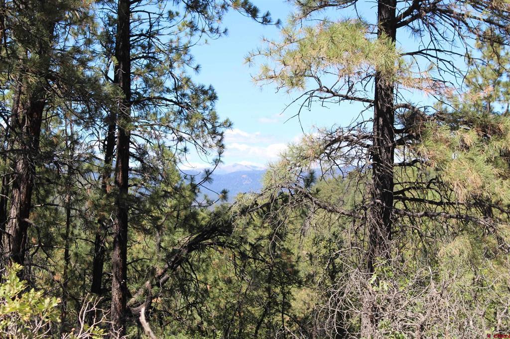 1286 Crooked Road Pagosa Springs CO 81147