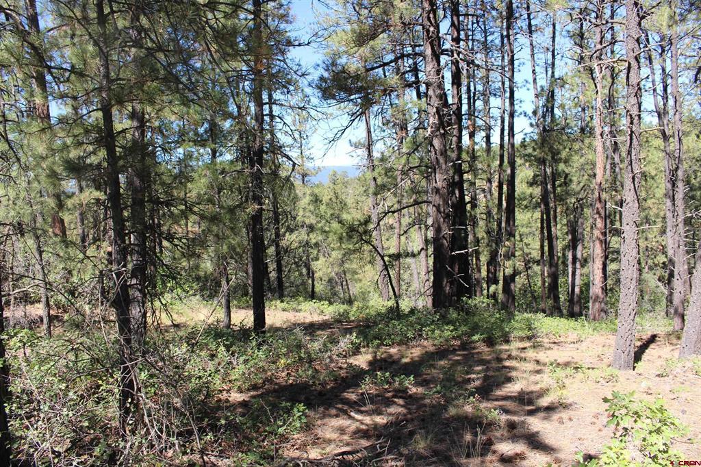 1286 Crooked Road Pagosa Springs CO 81147