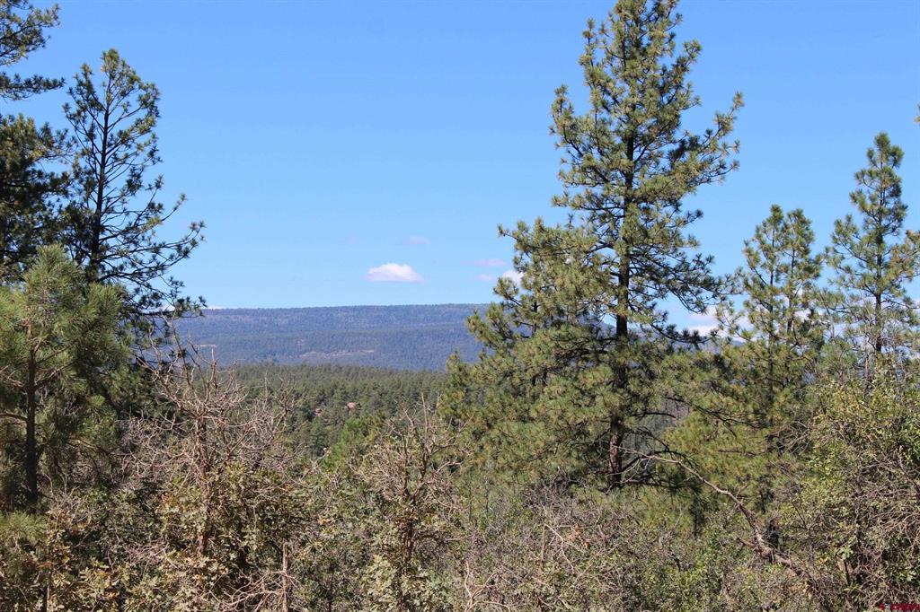 1286 Crooked Road Pagosa Springs CO 81147