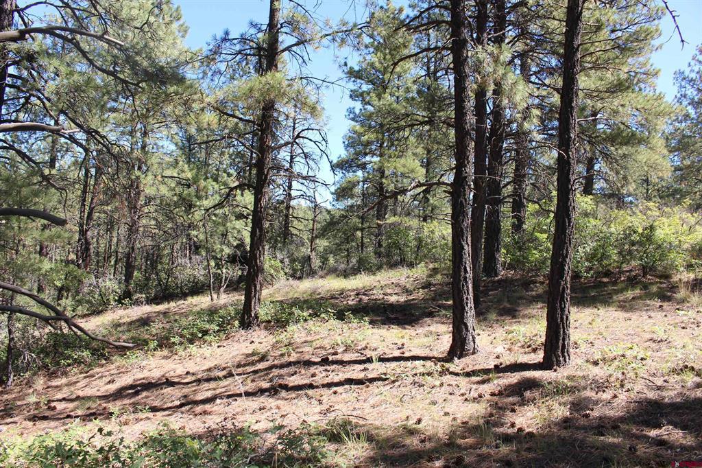 1286 Crooked Road Pagosa Springs CO 81147
