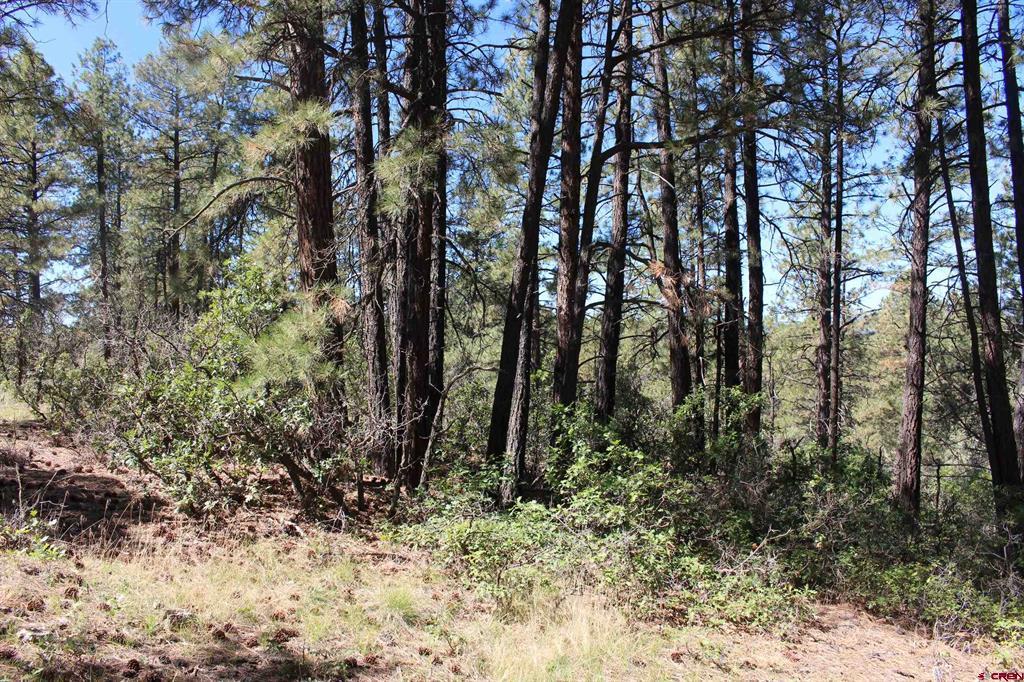 1286 Crooked Road Pagosa Springs CO 81147