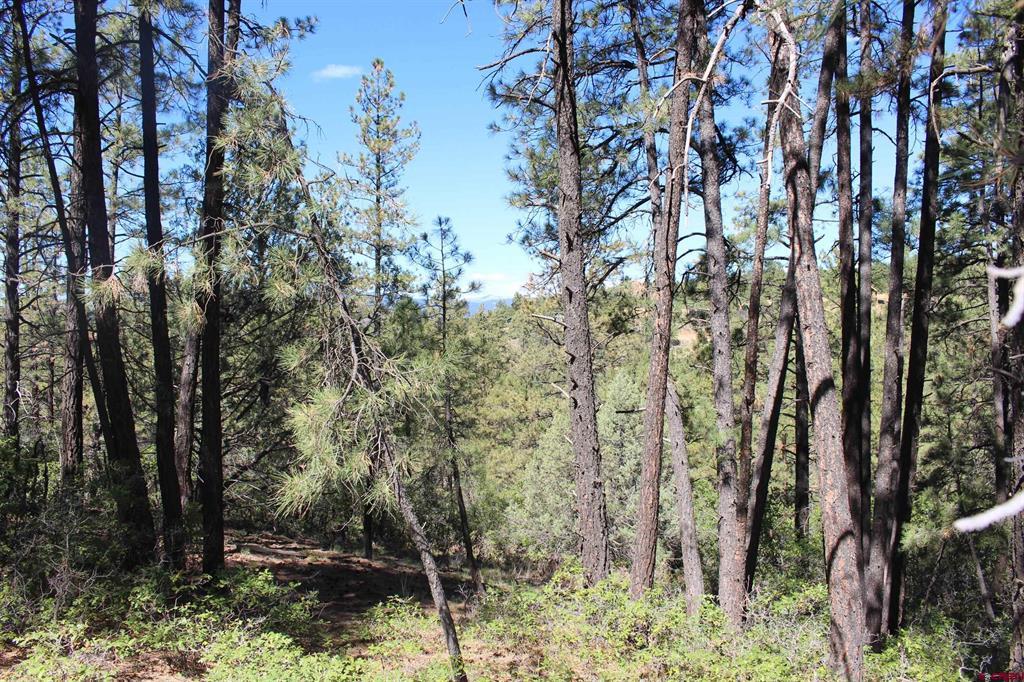 1286 Crooked Road Pagosa Springs CO 81147
