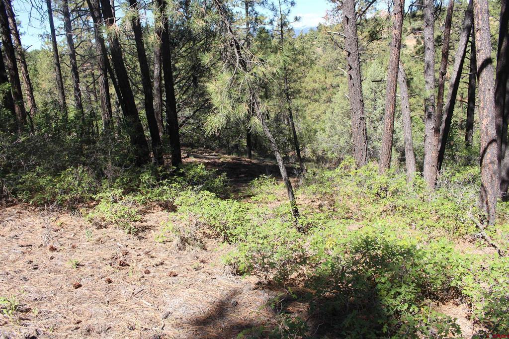 1286 Crooked Road Pagosa Springs CO 81147