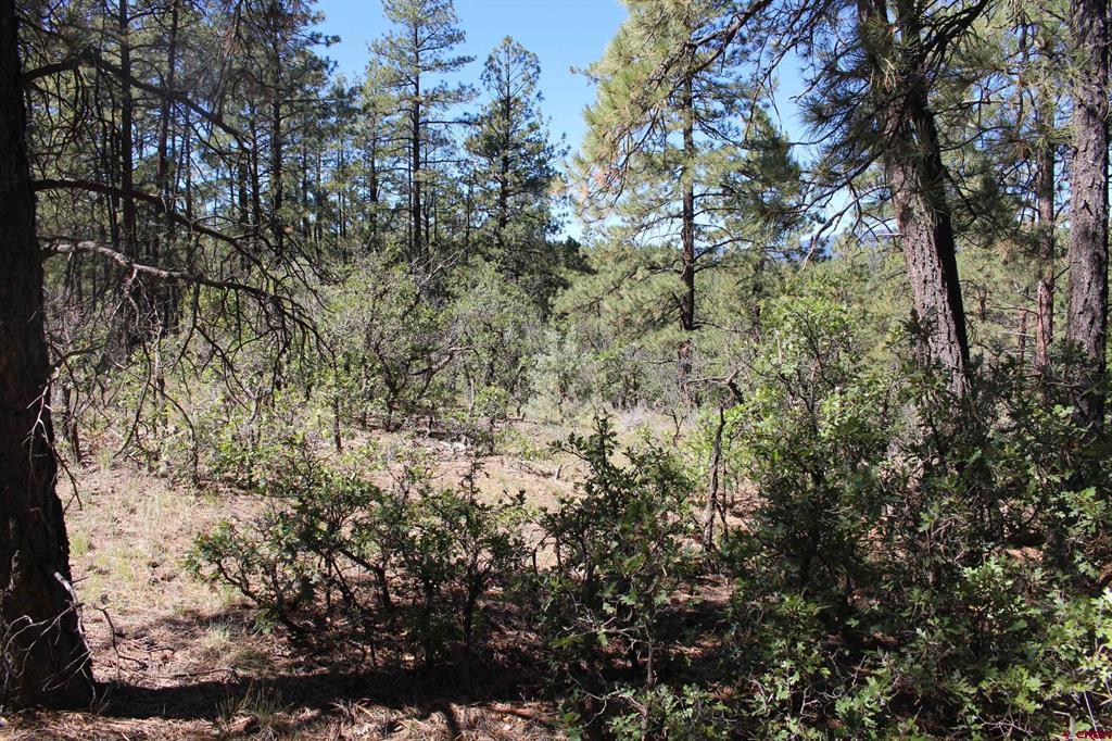1286 Crooked Road Pagosa Springs CO 81147