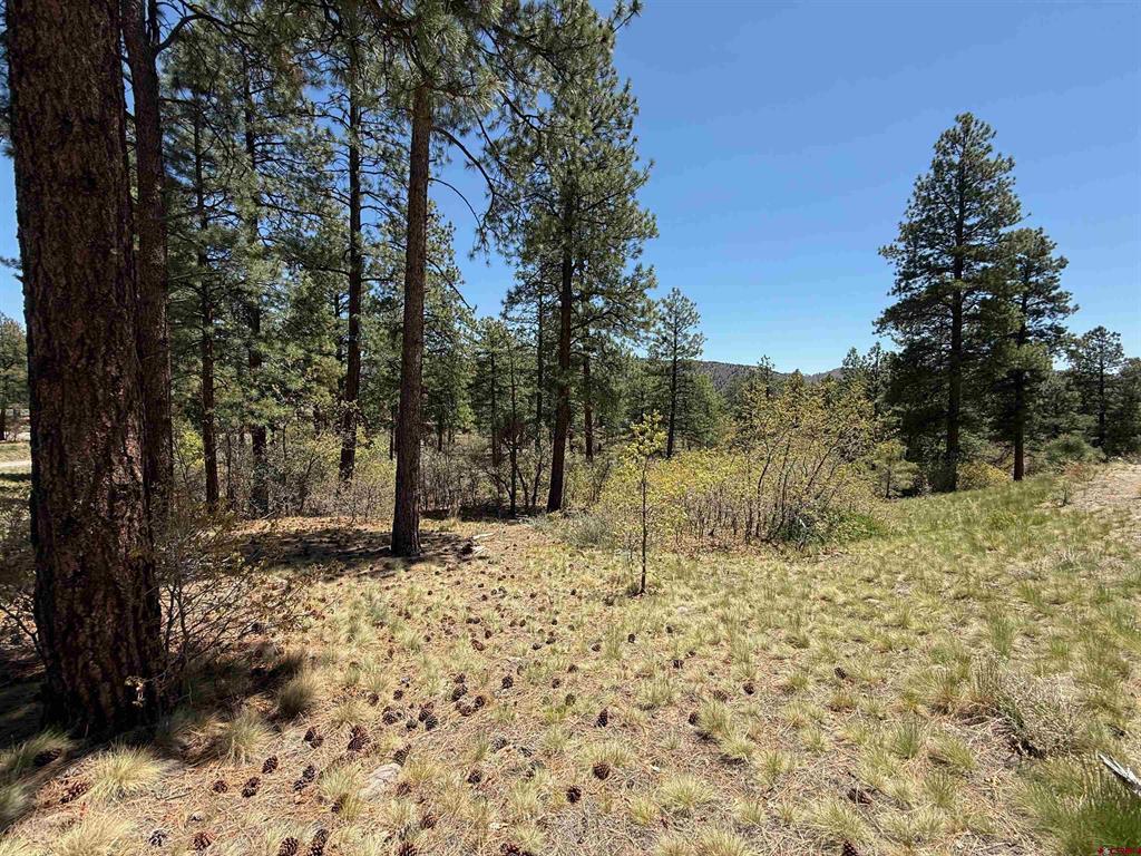 Tbd Ventana Pass Durango CO 81301