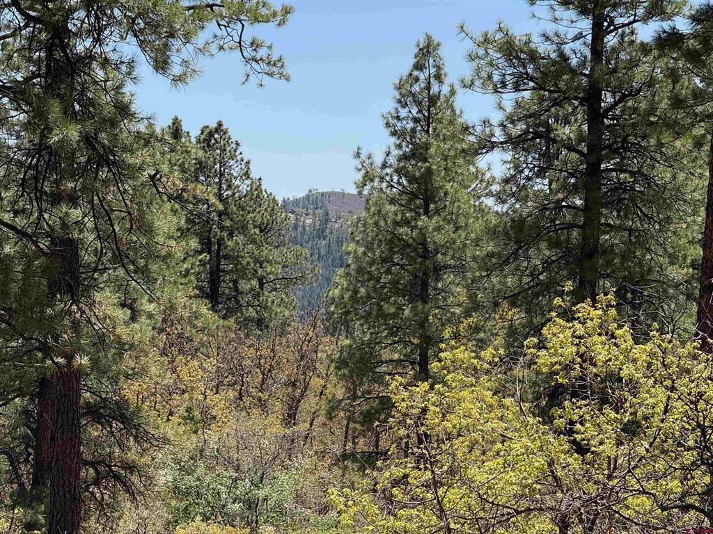 Tbd Ventana Pass Durango CO 81301