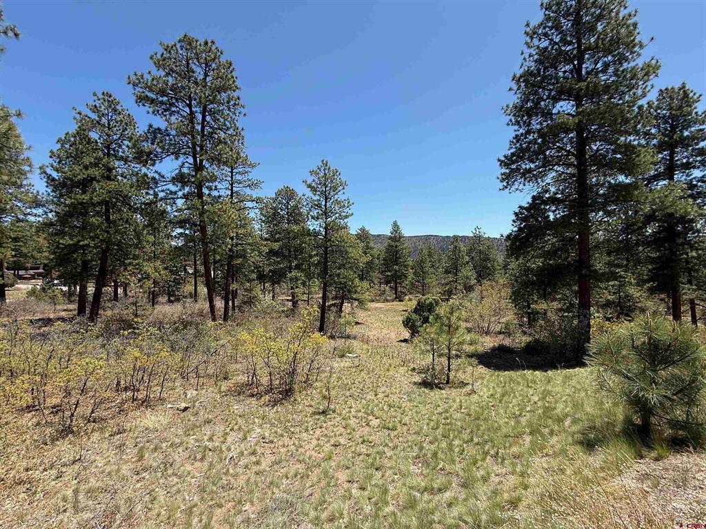 Tbd Ventana Pass Durango CO 81301
