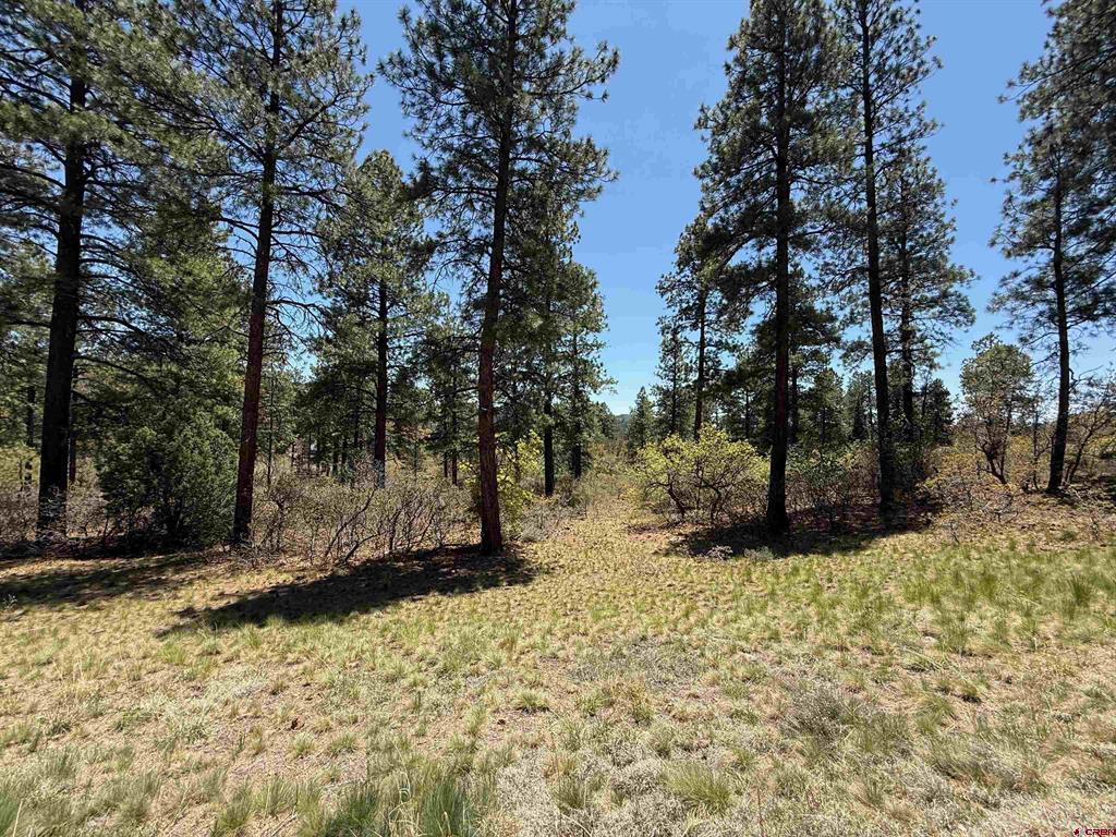 Tbd Ventana Pass Durango CO 81301