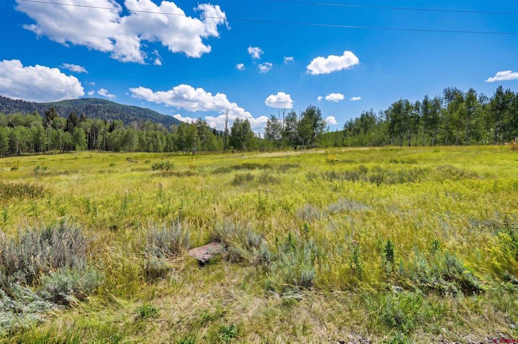 318 Sundown Drive Creede CO 81130