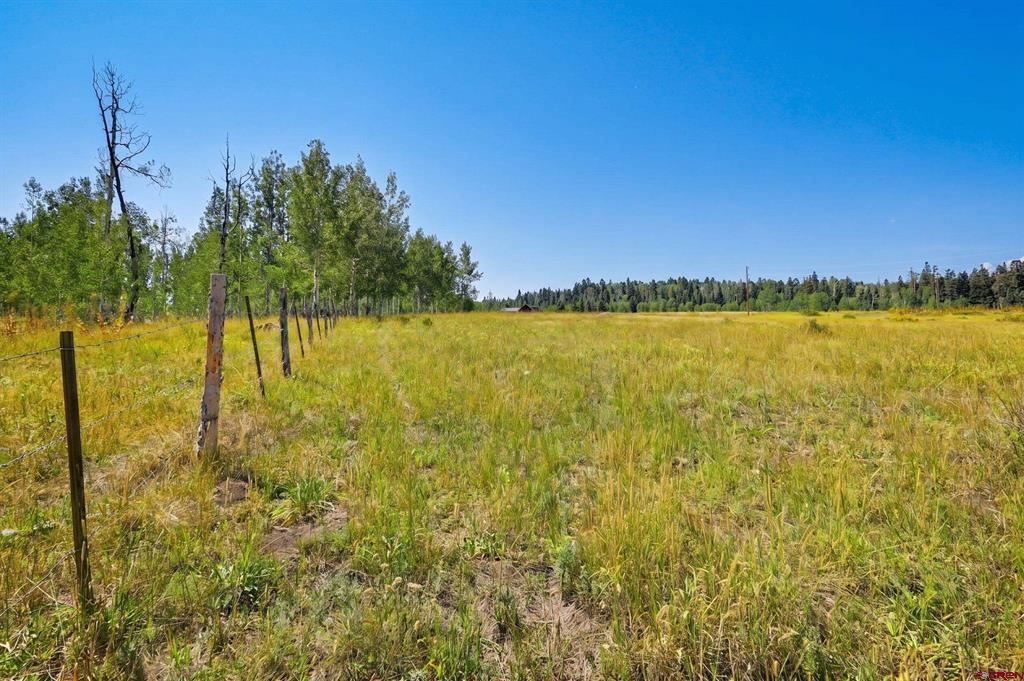 318 Sundown Drive Creede CO 81130