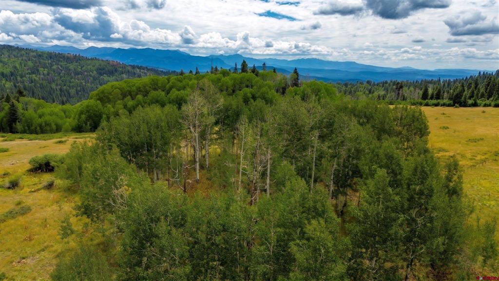 318 Sundown Drive Creede CO 81130