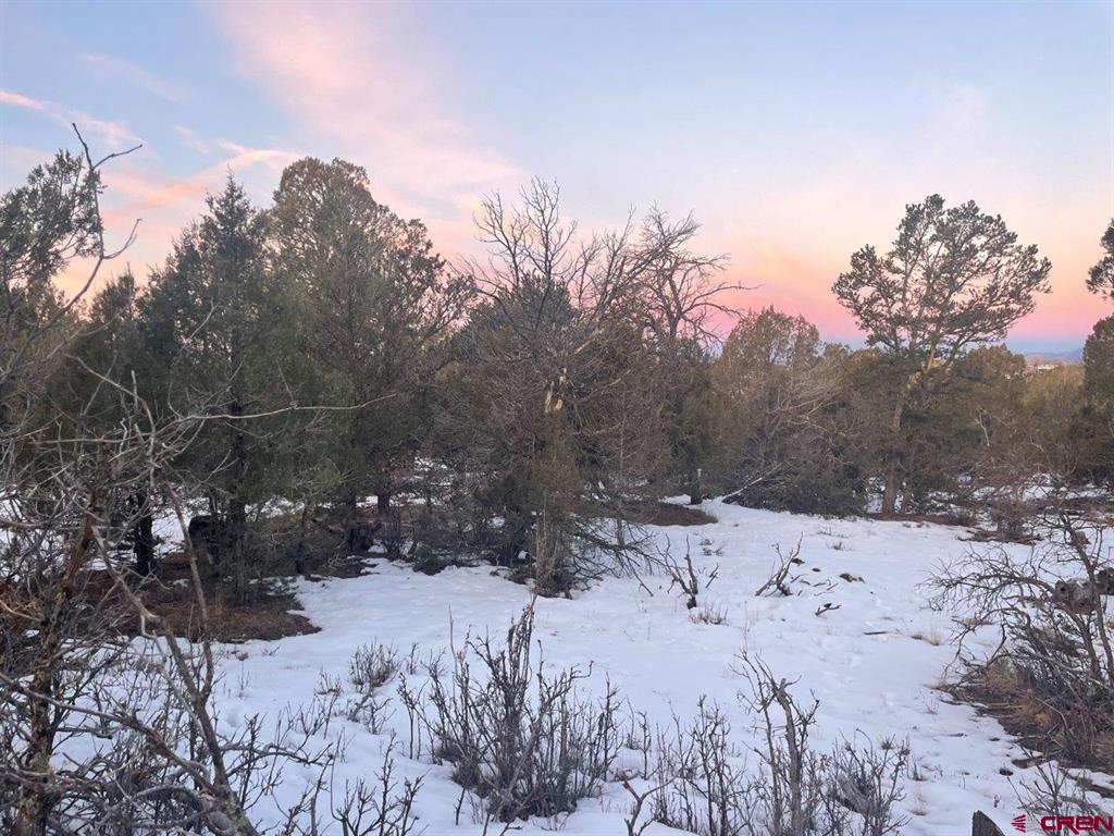 232 Rawhide Road Durango CO 81303