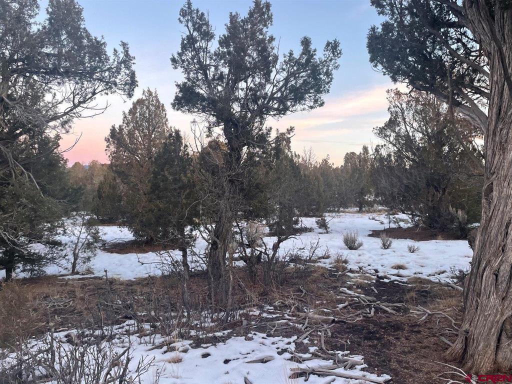 232 Rawhide Road Durango CO 81303