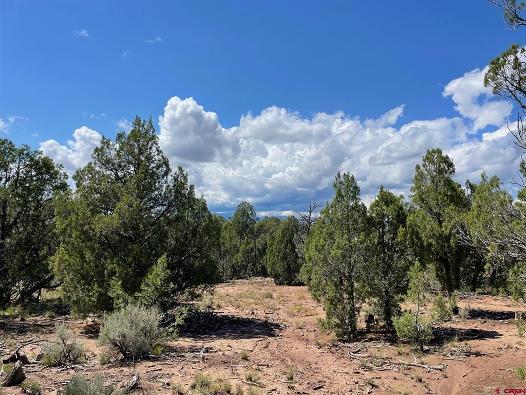 232 Rawhide Road Durango CO 81303